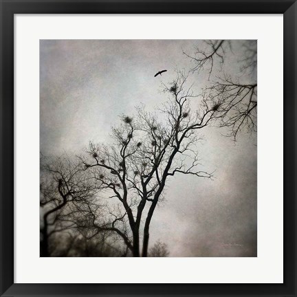Framed Heron Rookery Print