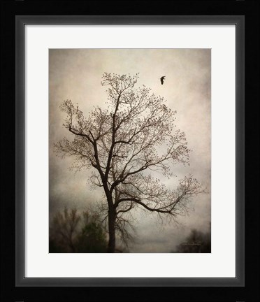 Framed Flyover Print