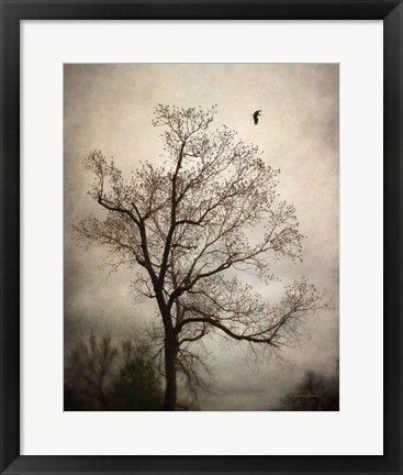 Framed Flyover Print