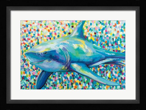 Framed Chatham Shark Print