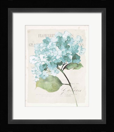Framed Antique Floral I Blue Vintage Print