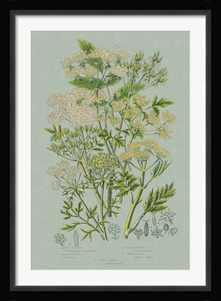 Framed Flowering Plants III Green Linen Print