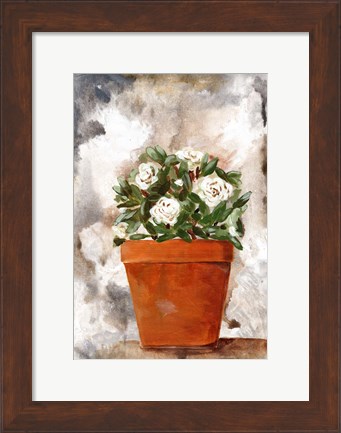 Framed White Flower Clay Pot I Print