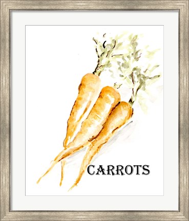 Framed Veggie Sketch V-Carrots Print