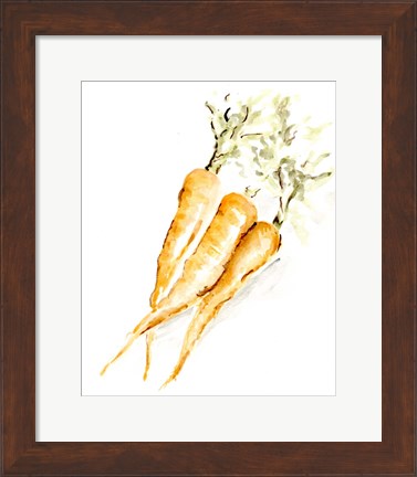 Framed Veggie Sketch plain V-Carrots Print