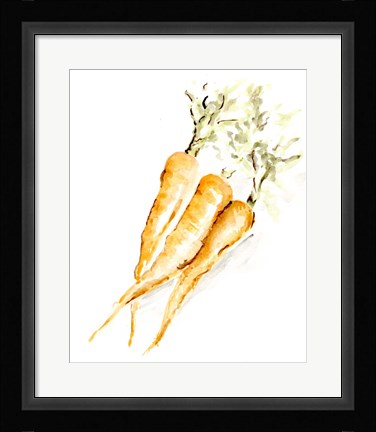 Framed Veggie Sketch plain V-Carrots Print