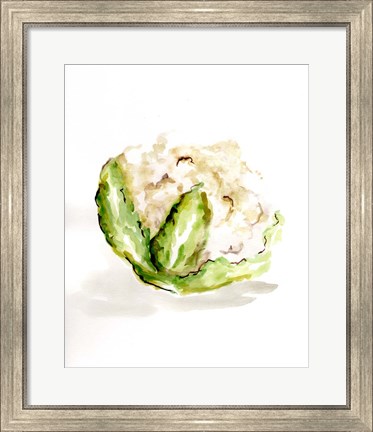 Framed Veggie Sketch plain VI-Cauliflower Print
