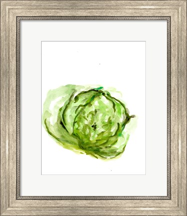 Framed Veggie Sketch plain IX-Lettuce Print