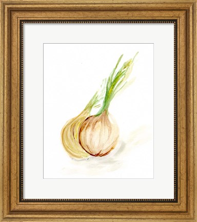 Framed Veggie Sketch plain X-Onion Print