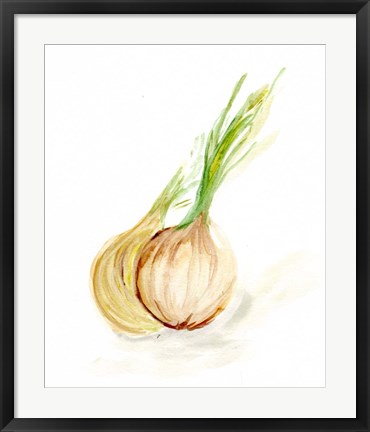 Framed Veggie Sketch plain X-Onion Print