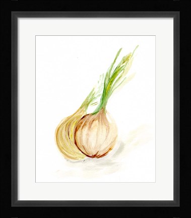 Framed Veggie Sketch plain X-Onion Print