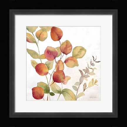 Framed Eucalyptus Leaves Spice II Print