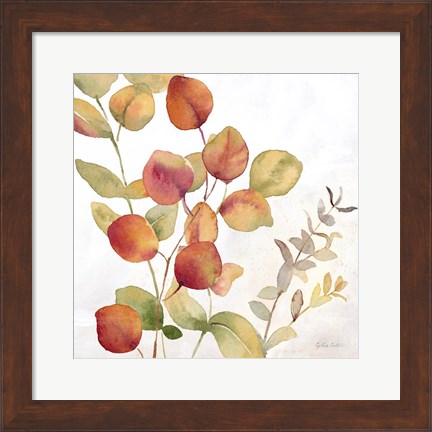 Framed Eucalyptus Leaves Spice II Print