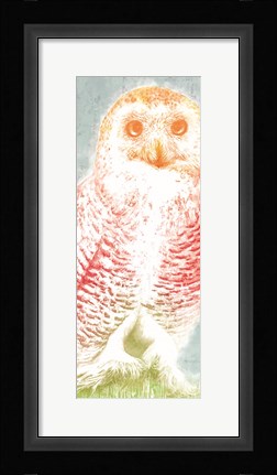 Framed Snowy Owl panel rainbow Print