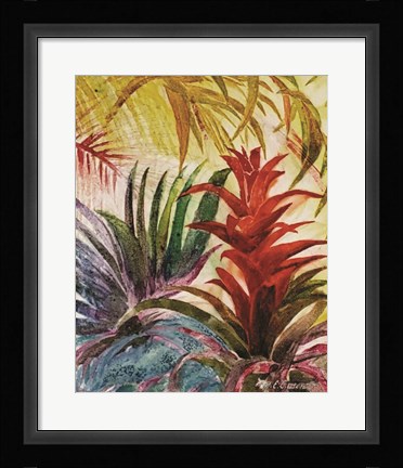 Framed Tropic Botanicals VI Print