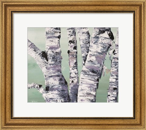 Framed Birch Tree Close Up II Print