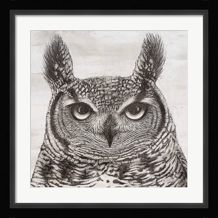 Framed Portrait of an Owl Print