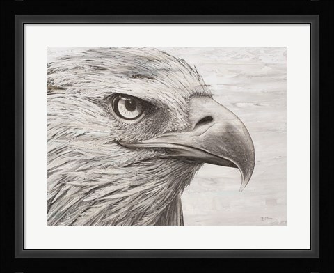 Framed Eagle landscape Print