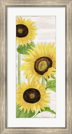 Framed Fall Sunflowers panel I Print
