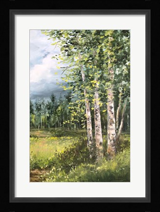 Framed Colorado Meadow panel II Print