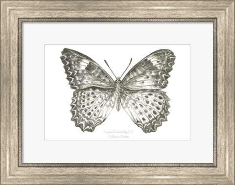 Framed Butterfly Sketch landscape I Print