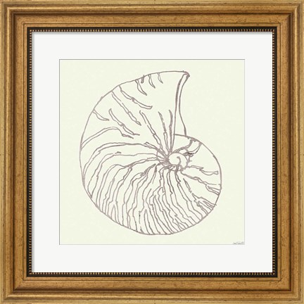 Framed Coastal Breeze Shell Sketches VII Silver Print