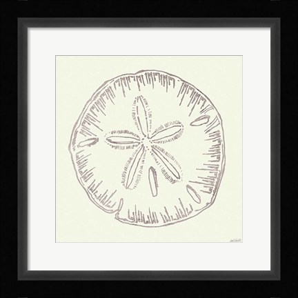 Framed Coastal Breeze Shell Sketches IV Silver Print