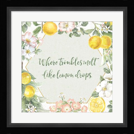 Framed Citrus Charm III Print