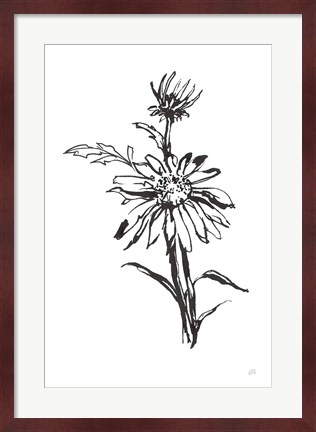 Framed Line Echinacea I Print