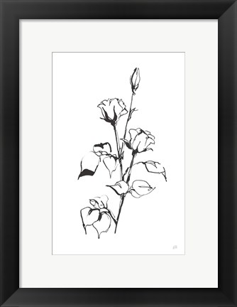 Framed Line Rosebuds Print