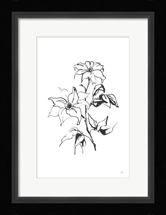 Framed Line Clematis Print
