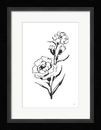 Framed Line Carnation III Print