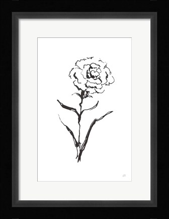 Framed Line Carnation I Print