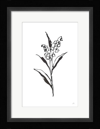 Framed Line Lily of the Valley II Print