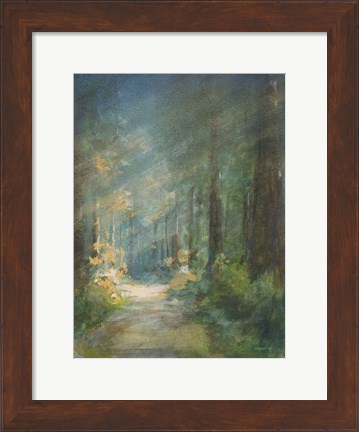 Framed Sun Soaked Redwoods Print