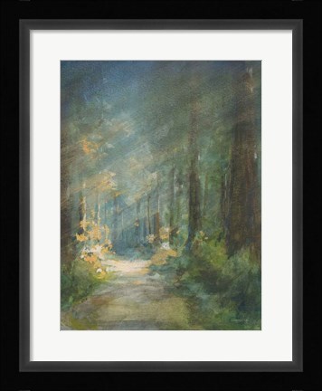 Framed Sun Soaked Redwoods Print