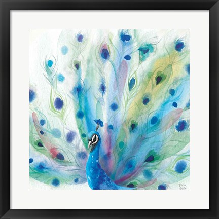 Framed Peacock Glory V Print