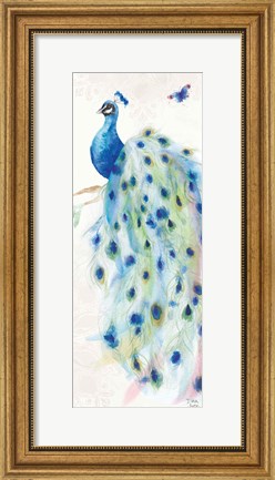 Framed Peacock Glory III Print