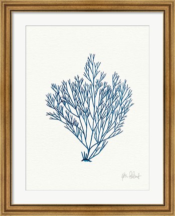 Framed Sea Garden II Royal Blue Print