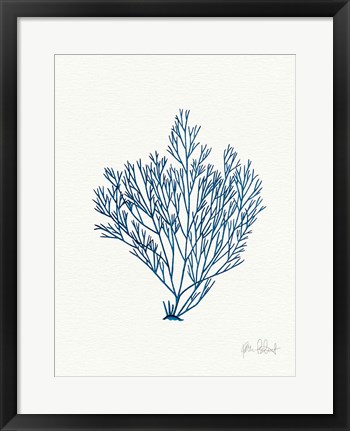 Framed Sea Garden II Royal Blue Print