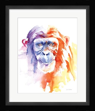 Framed Chimpanzee II Print
