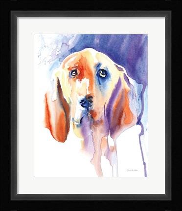 Framed Basset Hound Print