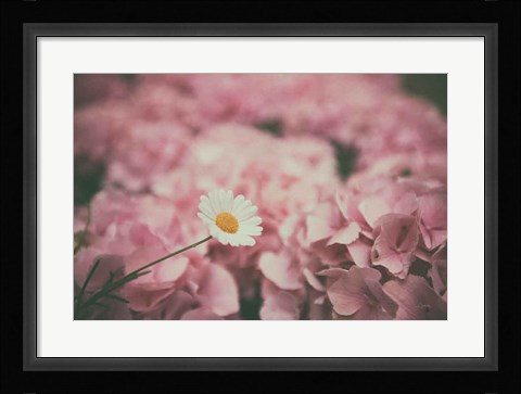 Framed Daisy Dreams Print