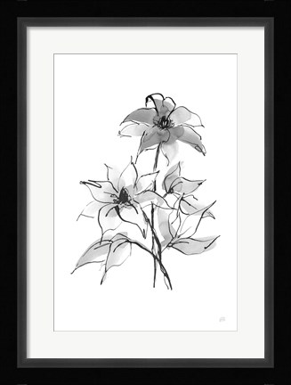 Framed Wash Clematis Print