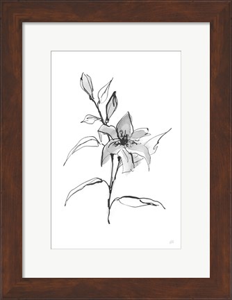 Framed Wash Tiger Lily Print