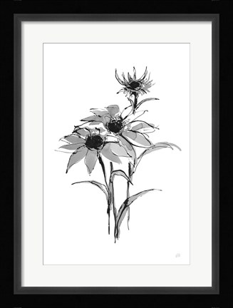 Framed Wash Echinacea I Print