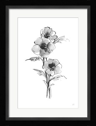 Framed Wash Anemone II Print