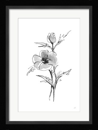 Framed Wash Anemone I Print