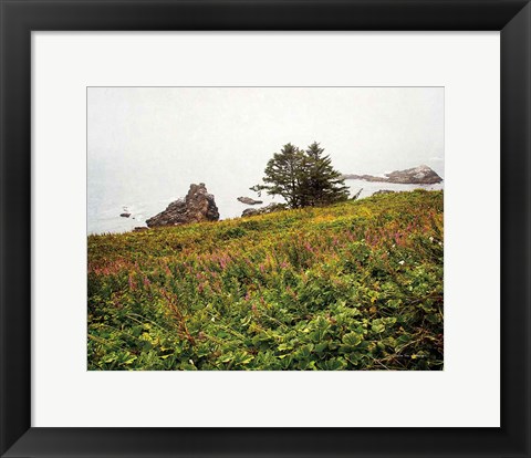 Framed Oregon Coast Print