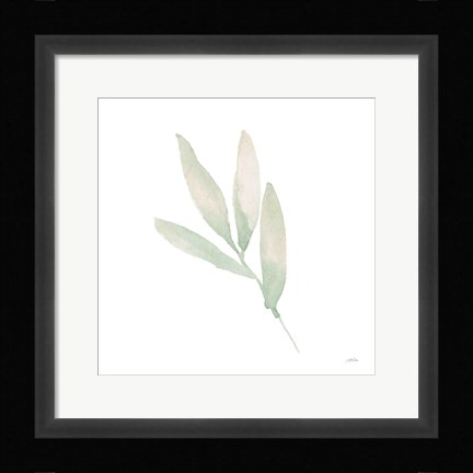 Framed Sage III Print